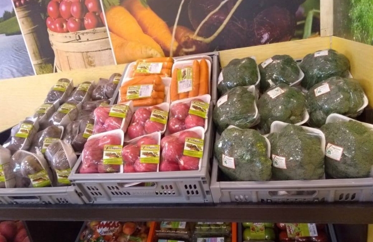 PLANTIO E CULTIVO